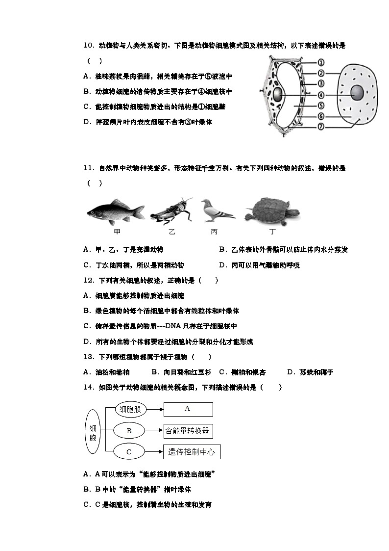 冀少版（2024新版）七年级上册生物期末模拟试卷（含答案）第3页
