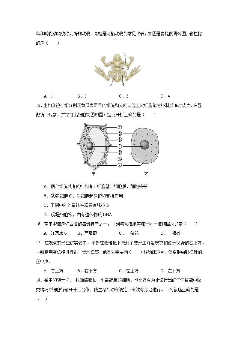 人教版（2024新版）七年级生物上册期末学业检测模拟预测试卷（含答案解析）第3页