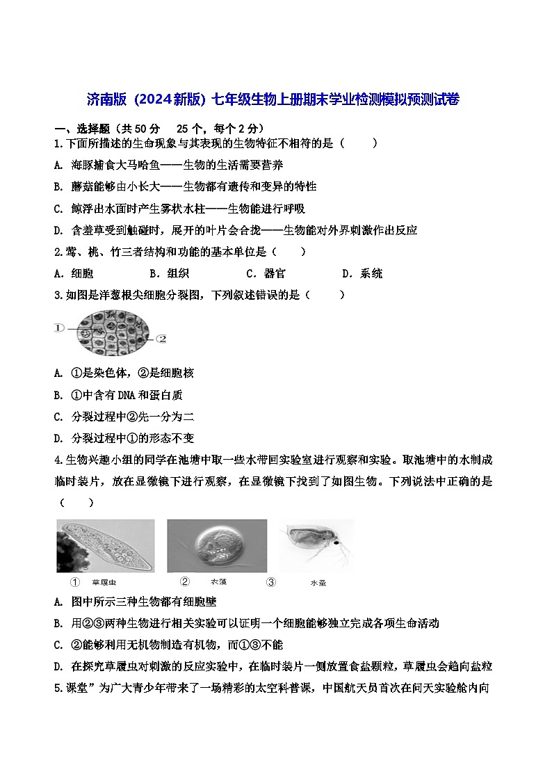 济南版（2024新版）七年级生物上册期末学业检测模拟预测试卷（含答案）第1页