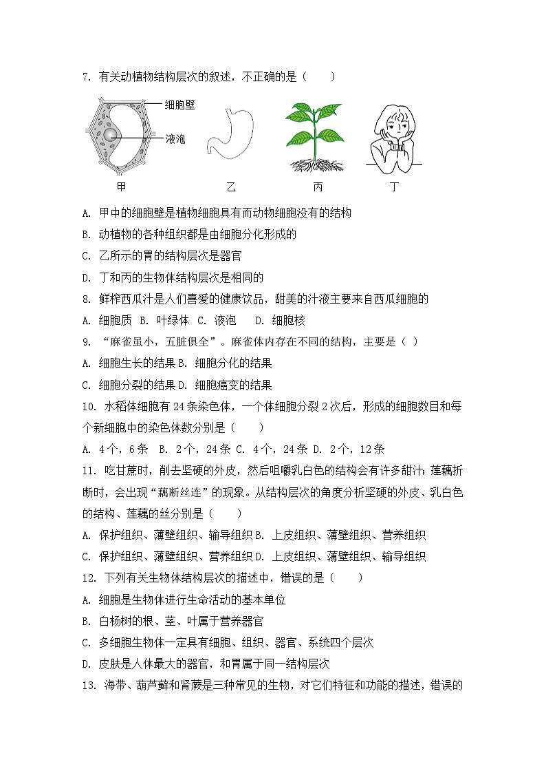 济南版（2024）七年级上册生物期末模拟试卷（含答案解析）第2页