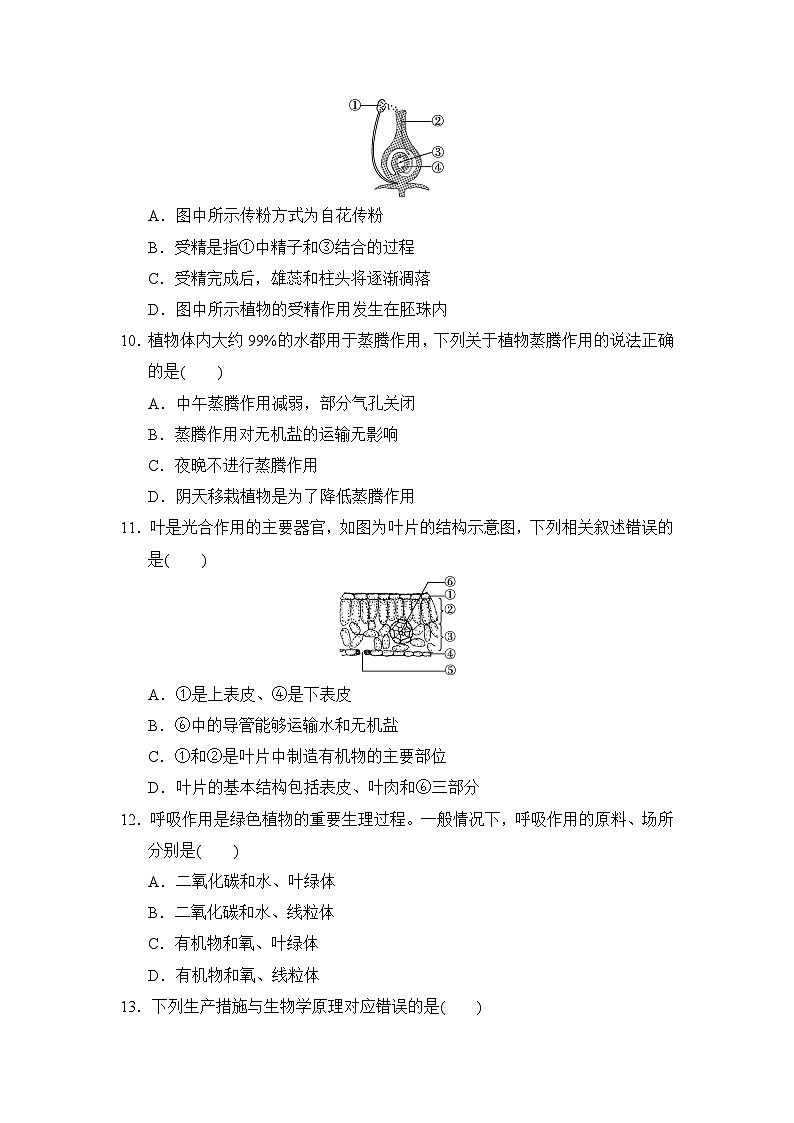 人教版（2025新版）七年级下册生物期中学情评估测试卷（含答案）第3页