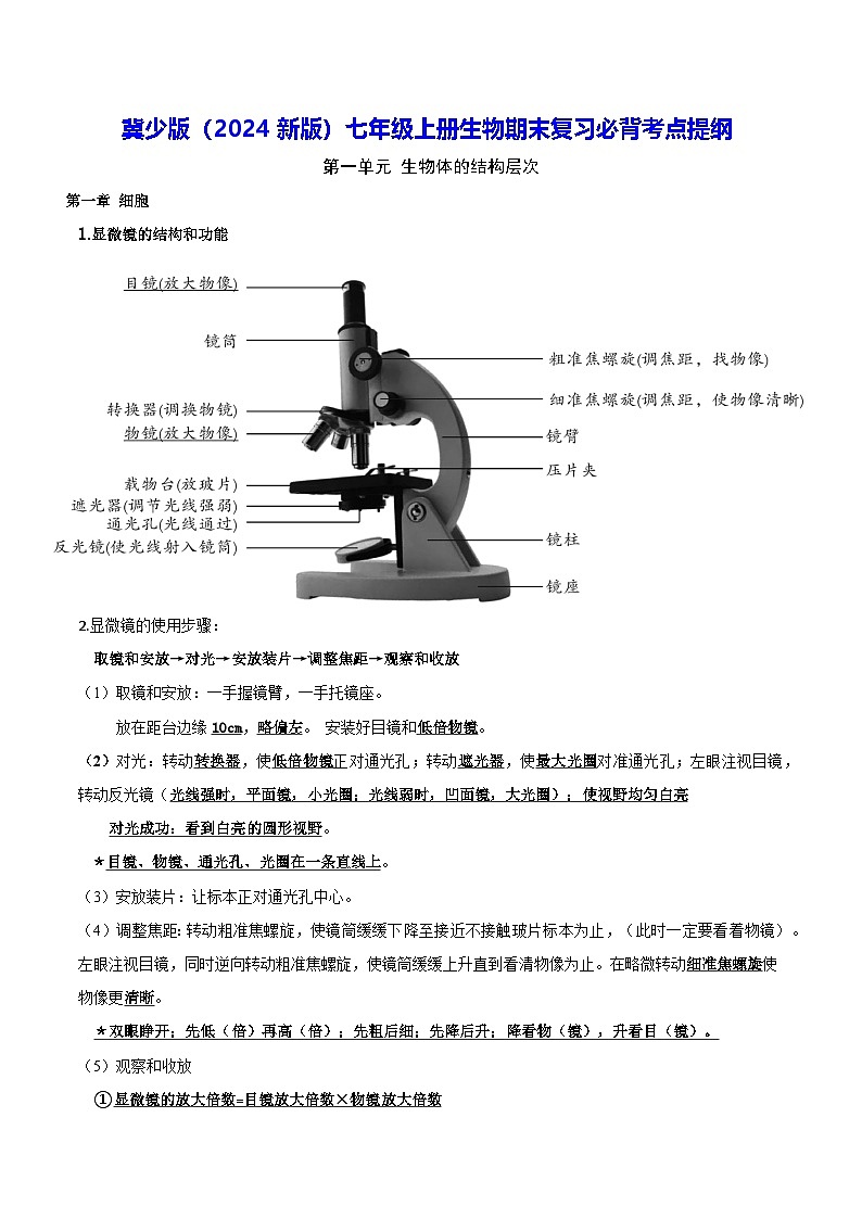 冀少版（2024新版）七年级上册生物期末复习必背考点提纲 学案第1页