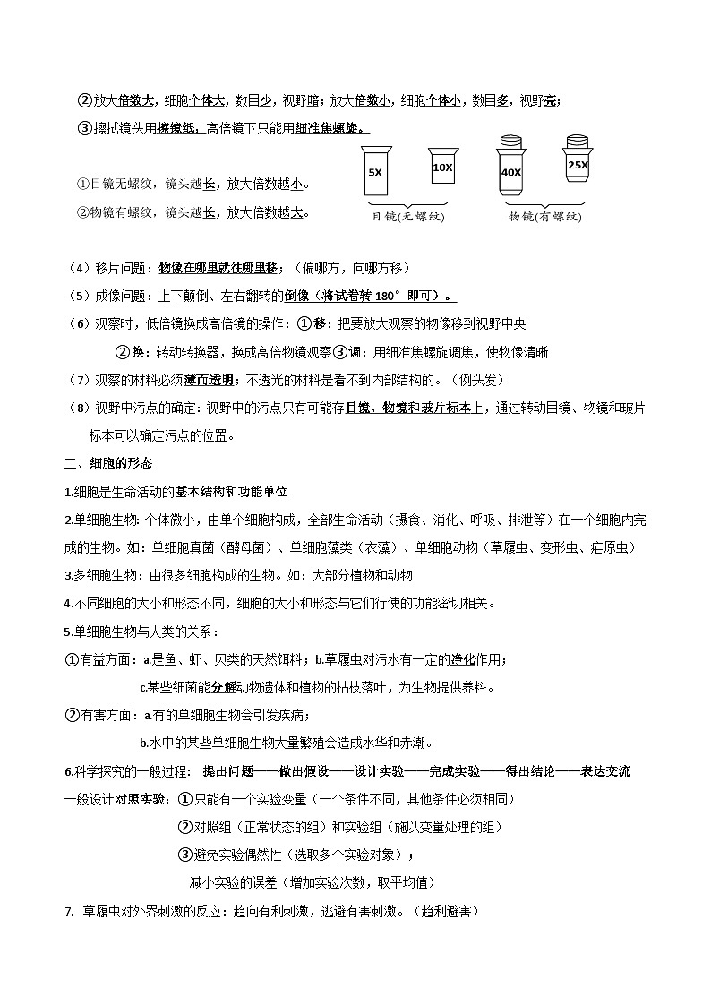 冀少版（2024新版）七年级上册生物期末复习必背考点提纲 学案第2页