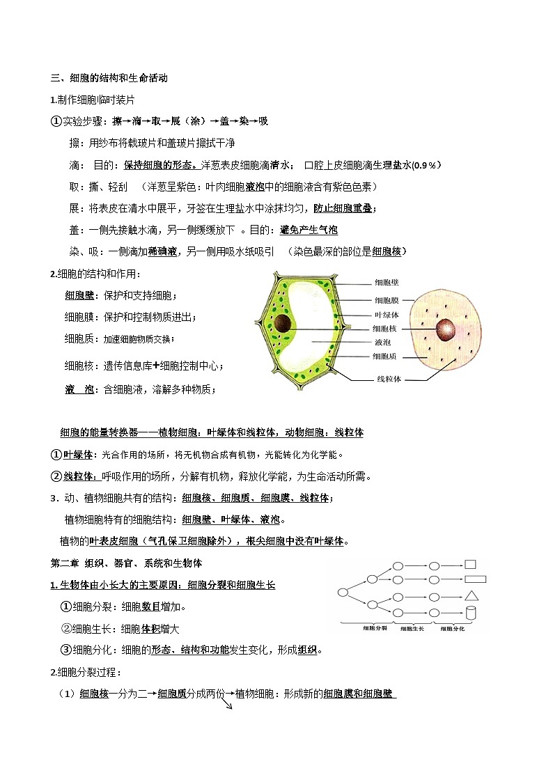 冀少版（2024新版）七年级上册生物期末复习必背考点提纲 学案第3页