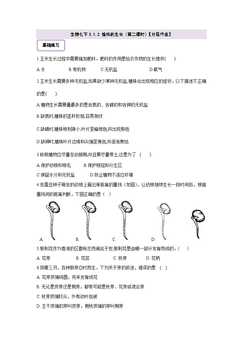 生物七下 3.1.2植株的生长（第二课时）分层作业（含答案）第1页