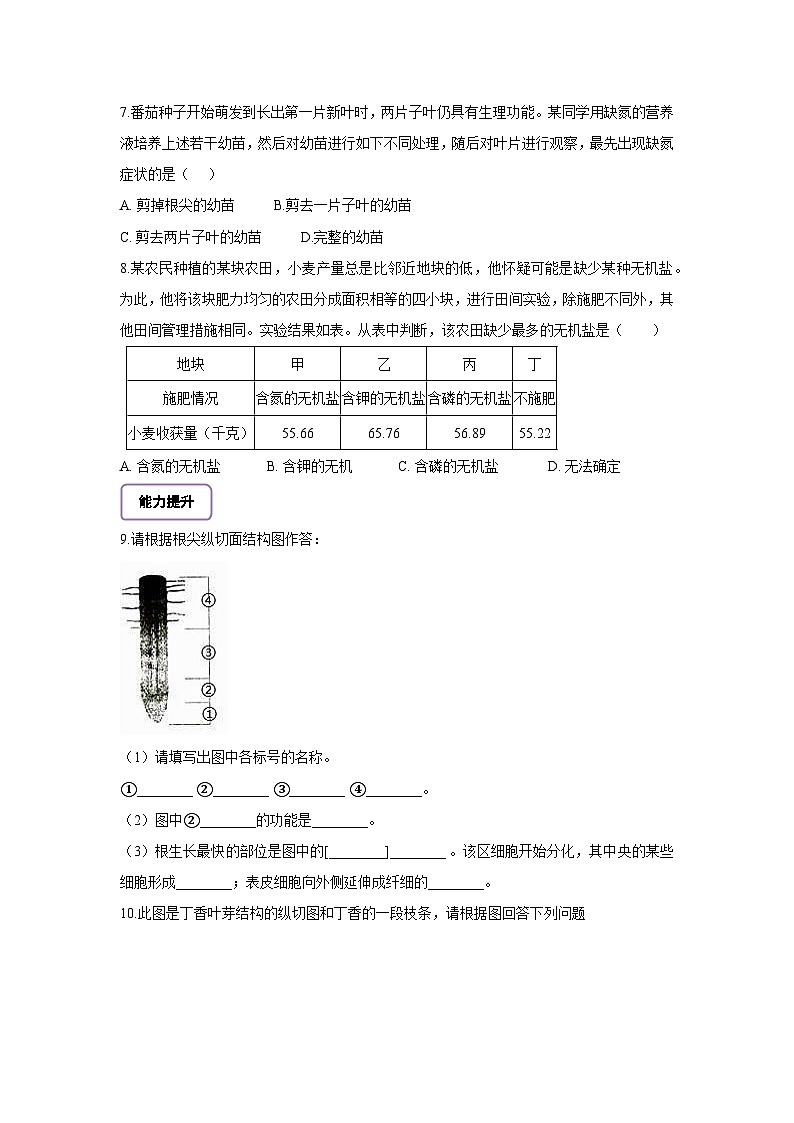 生物七下 3.1.2植株的生长（第二课时）分层作业（含答案）第2页