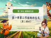 【新教材核心素养】人教版生物七年级下册3.1.2植株的生长（第二课时）（课件+同步教案+导学案+分层作业）