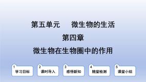 冀少版（2024）八年级上册第四章  微生物在生物圈中的作用背景图课件ppt