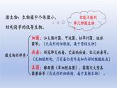 冀少版（2024）八年级生物上册5.4 微生物在生物圈中的作用课件