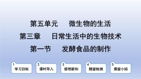 初中生物冀少版（2024）八年级上册第一节 发酵食品的制作背景图课件ppt