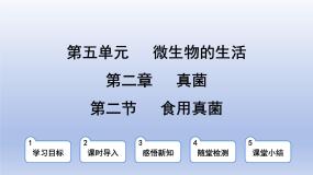 生物八年级上册第二节 食用真菌课文配套ppt课件