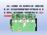 冀少版（2024）八年级生物上册5.2.2 食用真菌课件