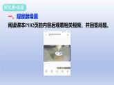 冀少版（2024）八年级生物上册5.2.1 酵母菌和霉菌课件
