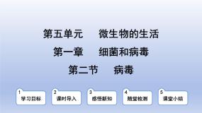 冀少版（2024）八年级上册第五单元  微生物的生活第一章 细菌和病毒第二节 病毒教课ppt课件