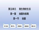 冀少版（2024）八年级生物上册5.1.1 细菌课件