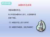 冀少版（2024）八年级生物上册5.1.1 细菌课件