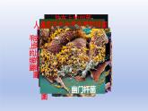 冀少版（2024）八年级生物上册5.1.1 细菌课件