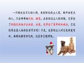 冀少版（2024）八年级生物上册4.2.3 先天性行为和学习行为课件