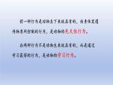 冀少版（2024）八年级生物上册4.2.3 先天性行为和学习行为课件