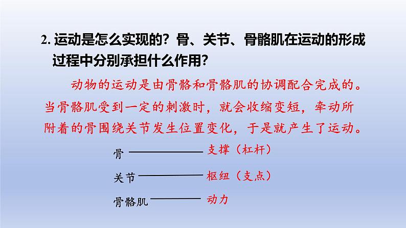 冀少版（2024）八年级生物上册4.1.2 运动的完成课件第7页