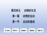 冀少版（2024）八年級生物上冊4.1.1 運動的基礎(chǔ)課件