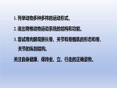 冀少版（2024）八年級生物上冊4.1.1 運動的基礎(chǔ)課件