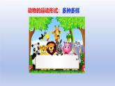 冀少版（2024）八年級生物上冊4.1.1 運動的基礎(chǔ)課件