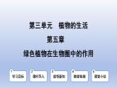 冀少版（2024）八年级生物上册3.5 绿色植物在生物圈中的作用课件
