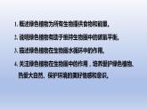 冀少版（2024）八年级生物上册3.5 绿色植物在生物圈中的作用课件