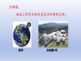 冀少版（2024）八年级生物上册3.5 绿色植物在生物圈中的作用课件