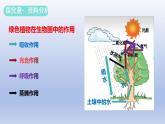 冀少版（2024）八年级生物上册3.5 绿色植物在生物圈中的作用课件