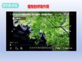 冀少版（2024）八年级生物上册3.4.1 呼吸作用课件