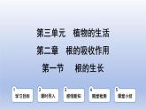 冀少版（2024）八年級生物上冊3.2.1 根的生長課件