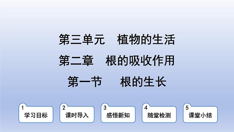 冀少版（2024）八年级生物上册3.2.1 根的生长课件第1页