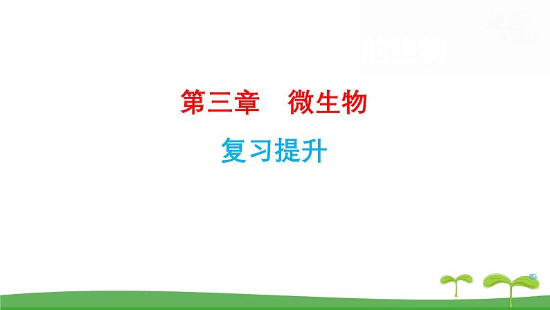 人教版（2024新版）七年级上册生物第二单元第三、四章 单元提升复习课件第2页