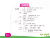 人教版（2024新版）七年级上册生物第二单元第三、四章 单元提升复习课件
