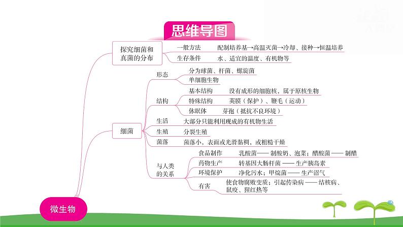 人教版（2024新版）七年级上册生物第二单元第三、四章 单元提升复习课件第3页