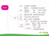 人教版（2024新版）七年级上册生物第二单元第三、四章 单元提升复习课件