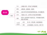 人教版（2024新版）七年级上册生物第二单元第三、四章 单元提升复习课件