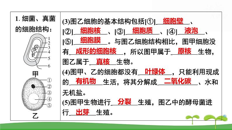 人教版（2024新版）七年级上册生物第二单元第三、四章 单元提升复习课件第7页