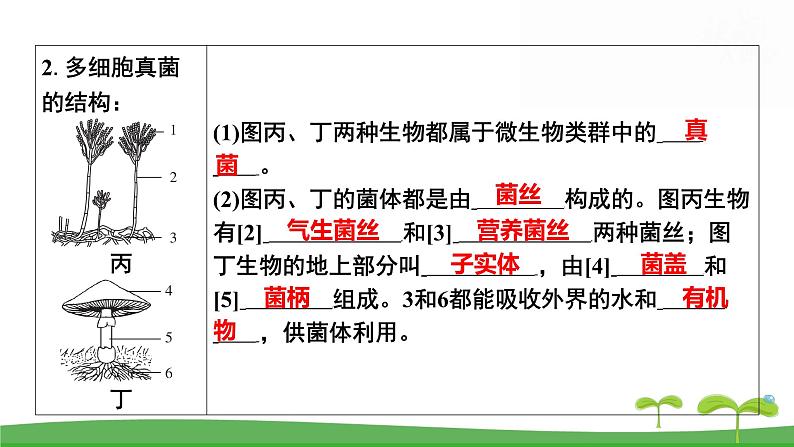 人教版（2024新版）七年级上册生物第二单元第三、四章 单元提升复习课件第8页