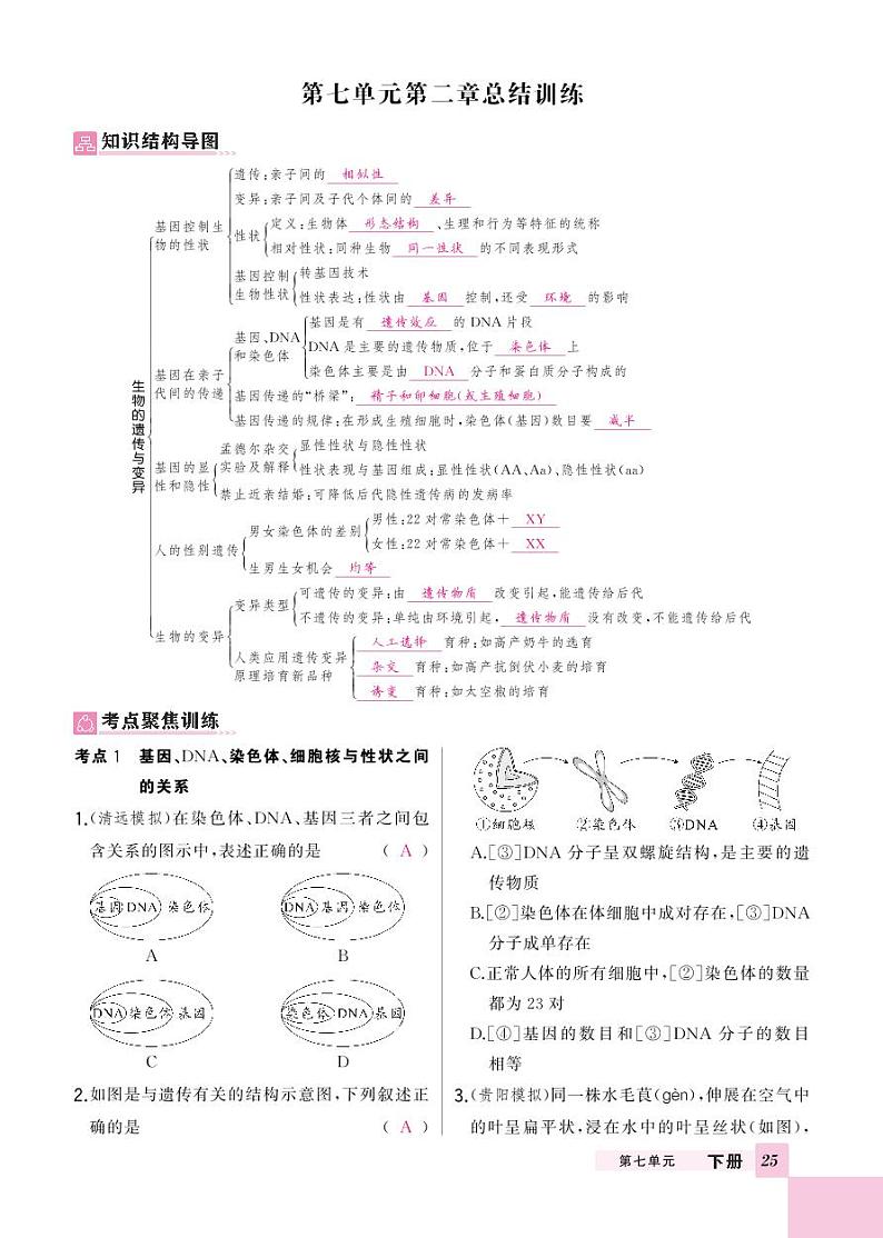 初中生物《基础知识总结》八下第2页