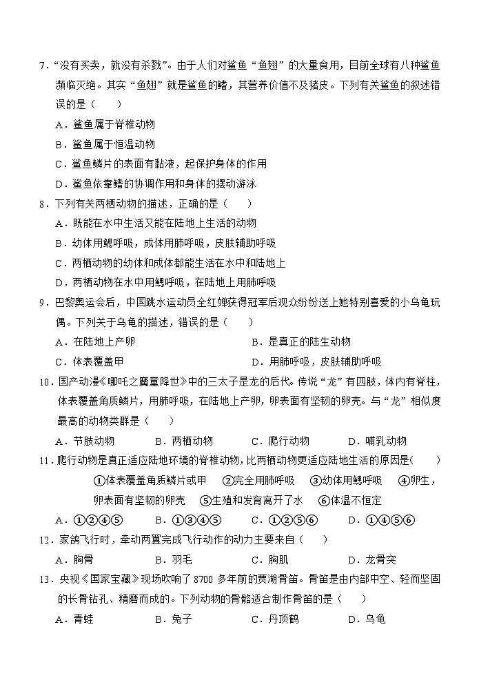 （教研室提供）山东省济宁市金乡县2024-2025学年七年级12月月考生物试题第2页