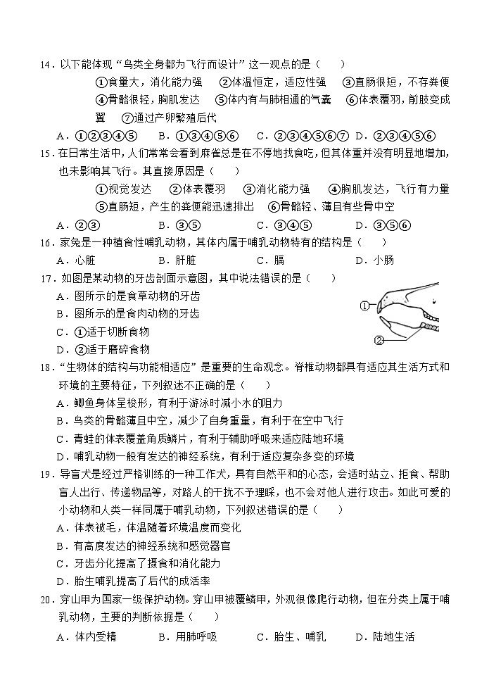 （教研室提供）山东省济宁市金乡县2024-2025学年七年级12月月考生物试题第3页