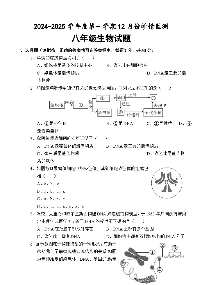 （教研室提供）山东省济宁市金乡县2024-2025学年八年级12月月考生物试题第1页