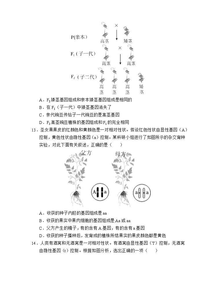 （教研室提供）山东省济宁市金乡县2024-2025学年八年级12月月考生物试题第3页
