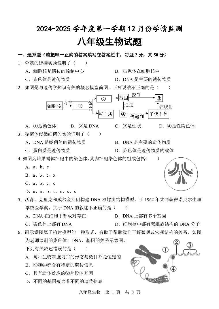 八 生物 12月考第1页