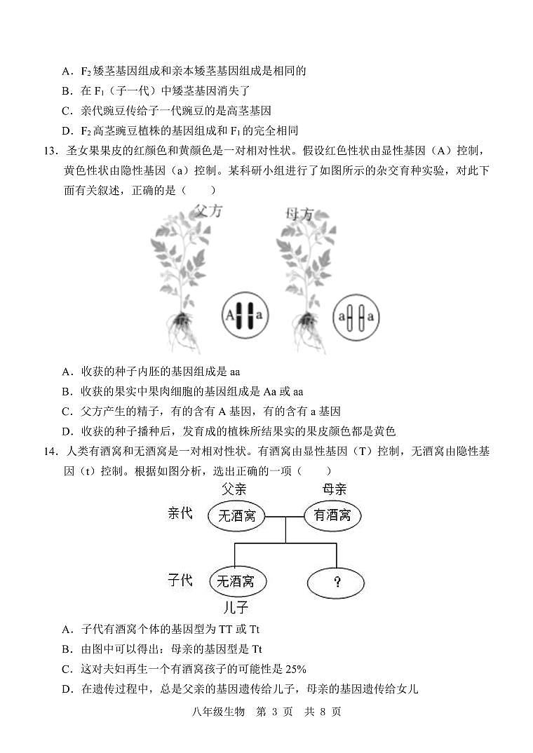 八 生物 12月考第3页