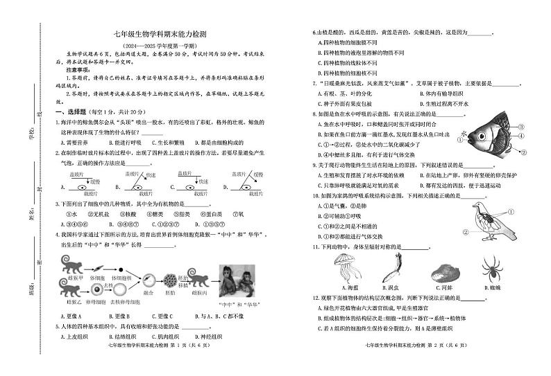 七年级生物 七年生物期末第1页