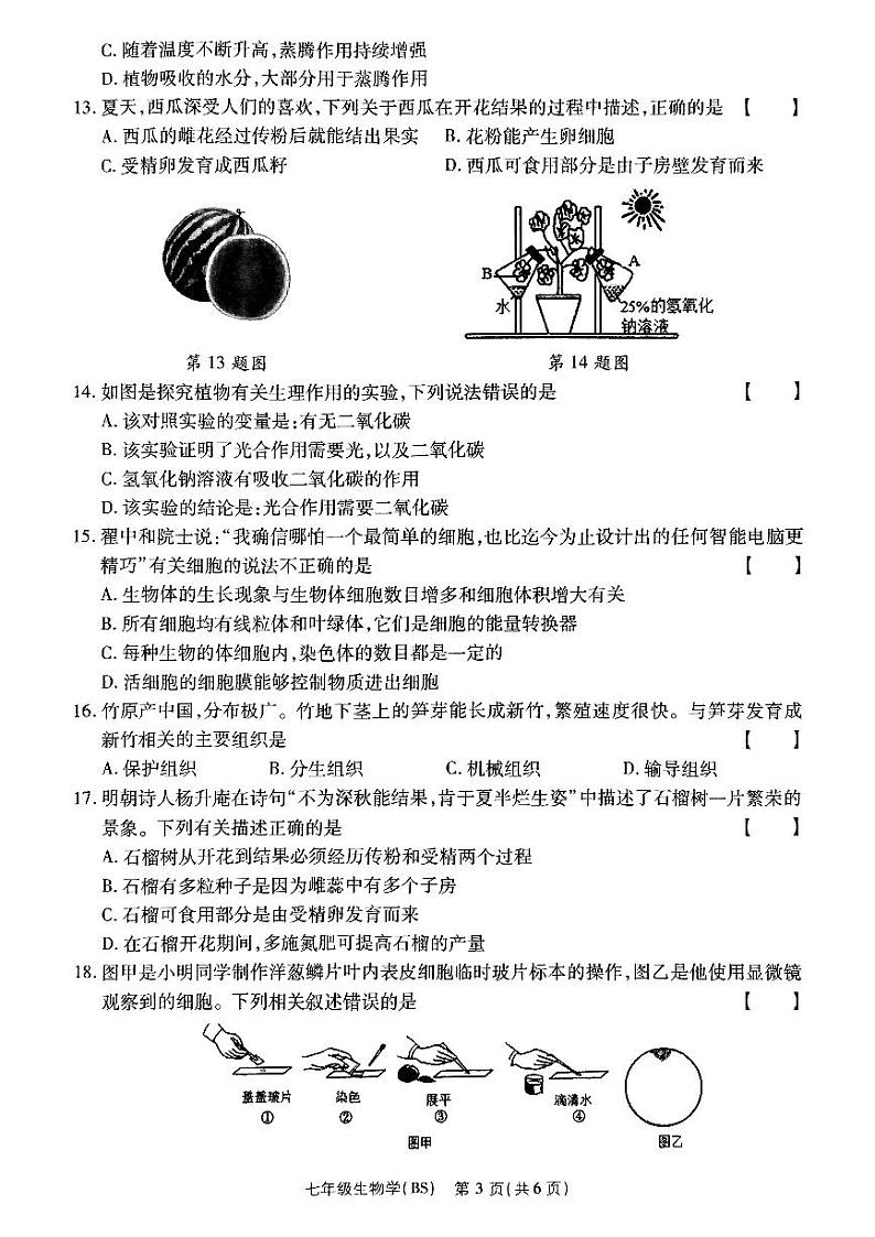 河南省驻马店市确山县部分初中期末联考2024-2025学年七年级上学期期末质量检测生物试卷第3页